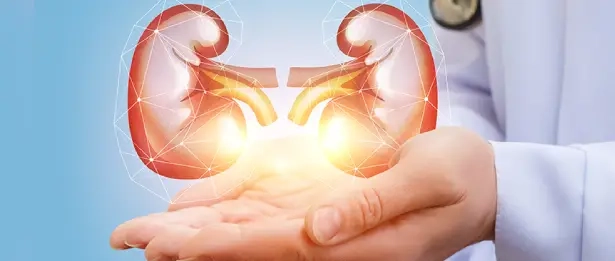 нефрология