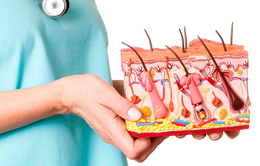 дерматолог